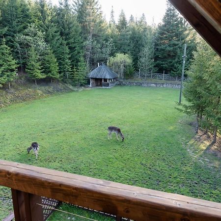 Pensiunea Casa Bunicilor Мэнэстиря-Гуморулуй Экстерьер фото