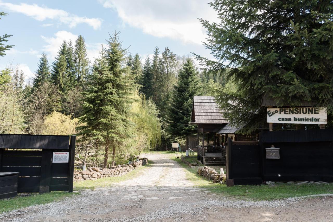 Pensiunea Casa Bunicilor Мэнэстиря-Гуморулуй Экстерьер фото