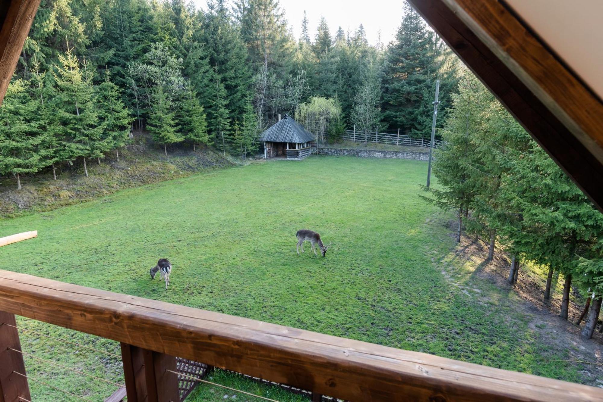 Pensiunea Casa Bunicilor Мэнэстиря-Гуморулуй Экстерьер фото