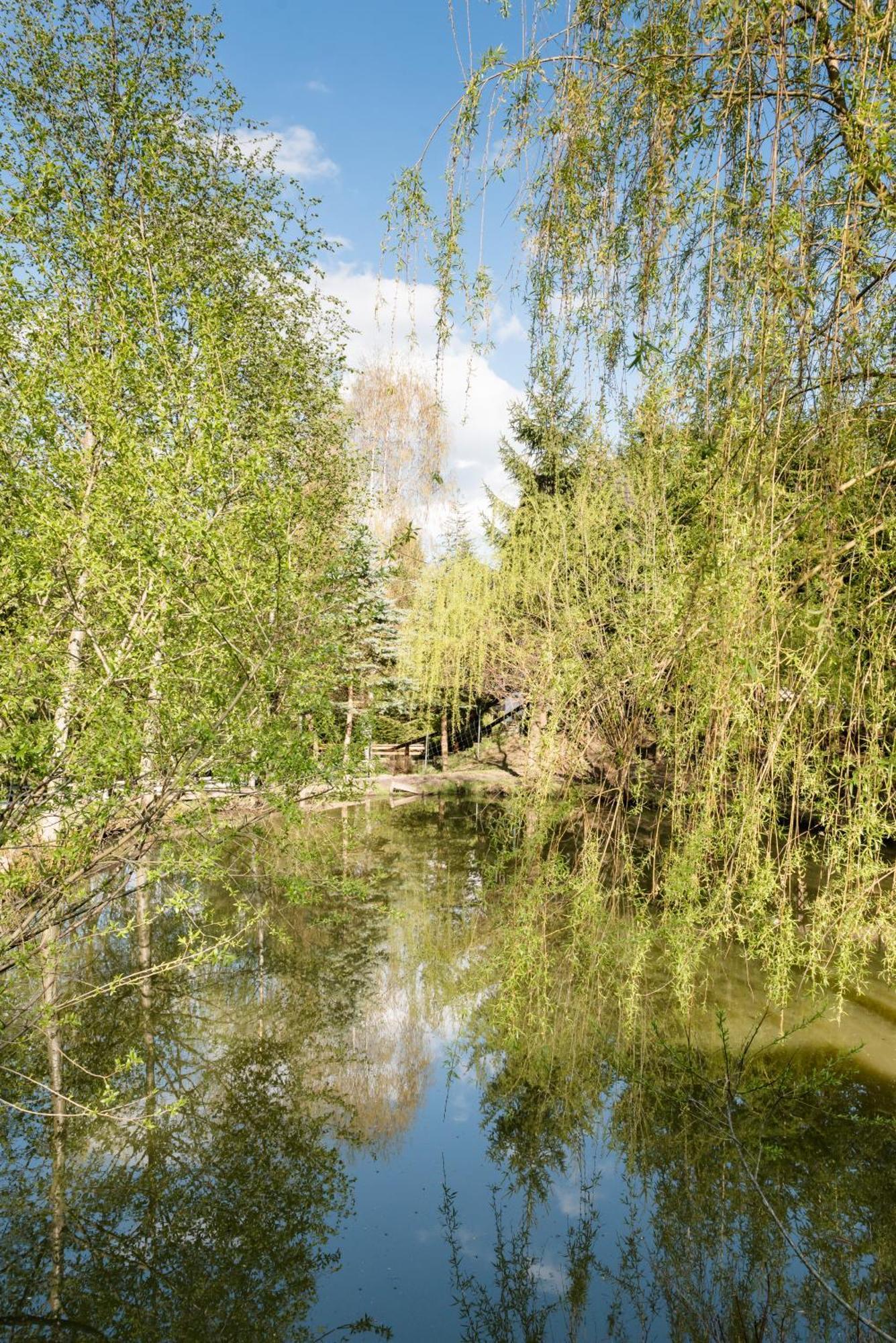 Pensiunea Casa Bunicilor Мэнэстиря-Гуморулуй Экстерьер фото